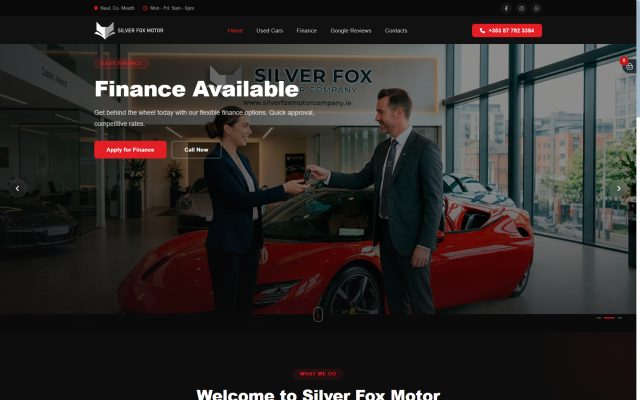 Silver Fox Motor